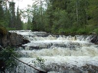 S, Jamtlands lan, Harjedalen, Waterfall 8, Saxifraga-Willem van Kruijsbergen