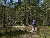 S, Jonkoping lan, Varnamo, Lovo 23, Saxifraga-Jan van der Straaten