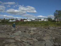 S, Norbotten Lan, Arjeplog 14, Saxifraga-Marijke Verhagen