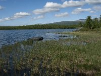 S, Norbotten Lan, Arjeplog 2, Saxifraga-Jan van der Straaten