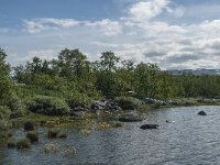 S, Norbotten Lan, Arjeplog 3, Saxifraga-Jan van der Straaten