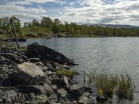 S, Norbotten Lan, Arjeplog 8, Saxifraga-Marijke Verhagen