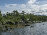 S, Norrbottens lan, Arjeplog 3, Saxifraga-Jan van der Straaten