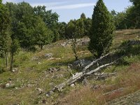 S, Ostergotland, Soderkoping, St Anna 12, Saxifraga-Jan van der Straaten