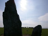 S, Skane lan, Ystad, Kaseberga, Ales Stenar 7, Saxifraga-Foto Fitis-Sytske Dijksen