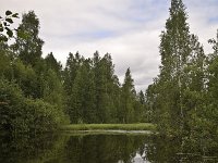 Meertje bij Torsby  Small lake in forest near Torsby, Varmland, Sweden : lake, pool, rural landscape, summer, tree, water, Europe, European, forest, marsh, natural, nature, reflections, Scandinavia, Scandinavian, summertime, Sweden, Swedish, Torsby, Varmland, wetland, woodland