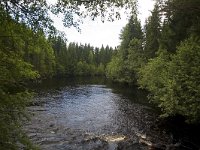 Beek bij Torsby  Small river near Torsby, Värmland, Swden : brook stream, color, colour, Europe European, flow flowing, horizontal, nature natural, river, rural landscape, Scandinavia Scandinavian, stream, summer, tree, water, wood forest