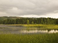 Ovre brocken, Torsby  Marshland along the lake Ovre Brocken near Torsby, Värmland, Sweden : color, colour, Europe European, horizontal, lake, marsh wetland, mountain, nature natural, Ovre Brocken, reed sedge, rural landscape, Scandinavia Scandinavian, summer, Sweden Swedish, Torsby Varmland, water, wood forest