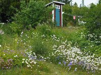 S, Vasternorrlands lan, Kramfors, Bonhamn 1, Saxifraga-Hans Dekker