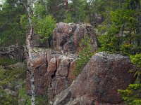 S, Vasternorrlands lan, Kramfors, Hogklinten 1, Saxifraga-Hans Dekker