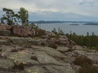 S, Vasternorrlands lan, Kramfors, Skuleskogen 19, Saxifraga-Marijke Verhagen