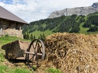 CH, Bern, Adelboden, Sillerenbuhl-Hahnenmoospass 3, Saxifraga-Tom Heijnen