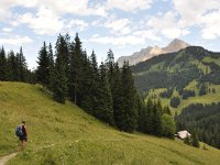 CH, Bern, Adelboden, Sillerenbuhl-Hahnenmoospass 5, Saxifraga-Tom Heijnen