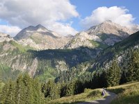 CH, Bern, Lauenen, near Lauenensee, Saxifraga-Tom Heijnen