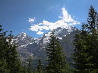 CH, Bern, Lauterbrunnen 5, Saxifraga-Bart Vastenhouw