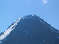 CH, Bern, Lauterbrunnen, Eiger 1, Saxifraga-Bart Vastenhouw