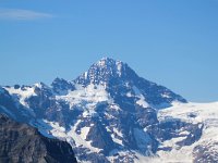 CH, Bern, Lauterbrunnen, Jungfrau 1, Saxifraga-Bart Vastenhouw