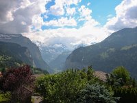 CH, Bern, Lauterbrunnen, Wengen 5, Saxifraga-Bart Vastenhouw