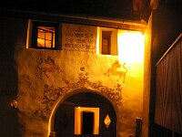 CH, Graubuenden, Guarda 20, Saxifraga-Foto Fitis-Sytske Dijksen