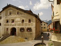 CH, Graubuenden, Guarda 21, Saxifraga-Foto Fitis-Sytske Dijksen