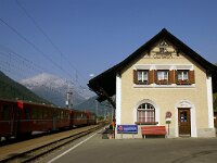 CH, Graubuenden, Guarda 24, Saxifraga-Foto Fitis-Sytske Dijksen