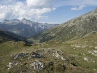 CH, Graubuenden, Spluegen, Spluegenpass 10, Saxifraga-Willem van Kruijsbergen