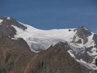 CH, Graubuenden, Val Muestair, Stilfserjoch 13, Saxifraga-Luuk Vermeer