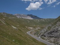 CH, Graubuenden, Val Muestair, Stilfserjoch 2, Saxifraga-Luuk Vermeer