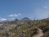 CH, Graubuenden, Val Muestair, Stilfserjoch 20, Saxifraga-Luuk Vermeer