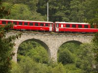 CH, Graubuenden, Zernez, Lavin 2, Saxifraga-Foto Fitis-Sytske Dijksen