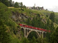 CH, Graubuenden, Zernez, Lavin 3, Saxifraga-Foto Fitis-Sytske Dijksen