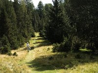 CH, Graubuenden, Zernez, SNP, God de la Schera 3, Saxifraga-Jan van der Straaten