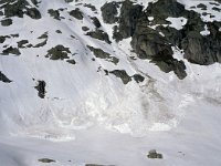 CH, Ticino, Airolo, Alpe di Lucendro 4, Saxifraga-Jan van der Straaten