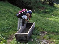 CH, Ticino, Airolo, Ce di Fiori 3, Saxifraga-Jan van der Straaten