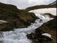 CH, Ticino, Airolo, Lago di Dentro 2, Saxifraga-Jan van der Straaten