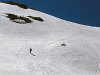 CH, Ticino, Airolo, Passe di Lucendro 1, Saxifraga-Jan van der Straaten