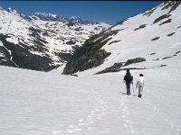 CH, Ticino, Airolo, Passe di Lucendro 9, Saxifraga-Jan van der Straaten