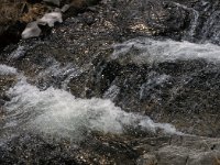 CH, Ticino, Airolo, Passo del Lucomagno 2, Saxifraga-Jan van der Straaten