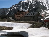 CH, Ticino, Airolo, Passo del San Gottardo 10, Saxifraga-Jan van der Straaten