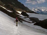 CH, Ticino, Airolo, Passo di Gana Negra 7, Saxifraga-Jan van der Straaten