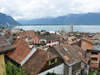 CH, Vaud, Montreux 2, Saxifraga-Tom Heijnen