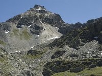 CH, Wallis, Anniviers, Rothorn 4, Saxifraga-Willem van Kruijsbergen