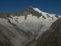 CH, Wallis, Fiesch, Aletschhorn 1, Saxifraga-Jan van der Straaten