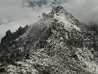 CH, Wallis, Fiesch, Eggishorn 22, Saxifraga-Willem van Kruijsbergen