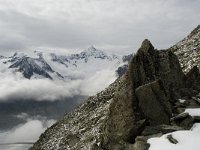 CH, Wallis, Fiesch, Eggishorn, Aletschhorn 1, Saxifraga-Willem van Kruijsbergen