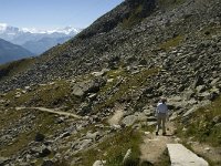 CH, Wallis, Fiesch, Fiescheralp 2, Saxifraga-Jan van der Straaten