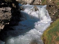 CH, Wallis, Hérémence, Glacier de Cheillon 3, Saxifraga-Jan van der Straaten