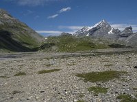 CH, Wallis, Leukerbad, Lammerenboden 13, Saxifraga-Willem van Kruijsbergen