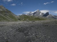 CH, Wallis, Leukerbad, Lammerenboden 16, Saxifraga-Willem van Kruijsbergen