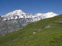 CH, Wallis, Leukerbad, Rinderhuette 1, Saxifraga-Willem van Kruijsbergen